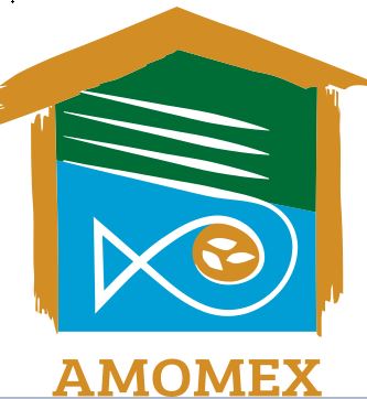 logo AmoMex